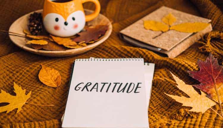 Understanding Gratitude: How Traditions Foster Properly-Being